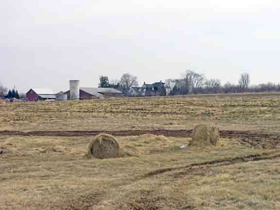 Strawberry fields in the winter