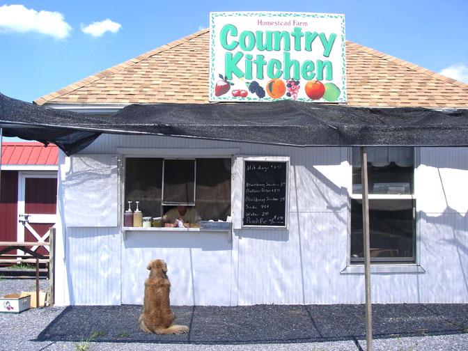 Flo at the food stand