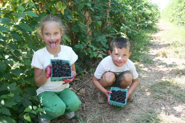 Embrey Kids at the farm - August 2006