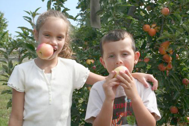 Embrey Kids at the farm - August 2006