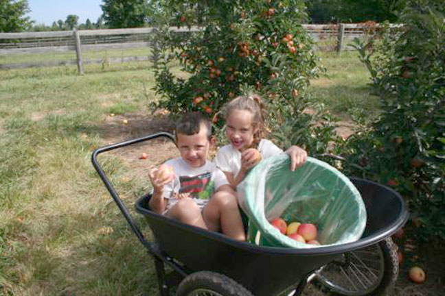 Embrey Kids at the farm - August 2006