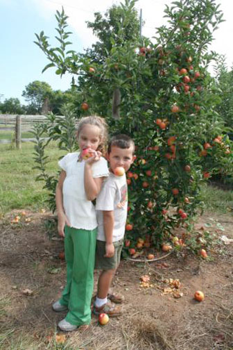 Embrey Kids at the farm - August 2006