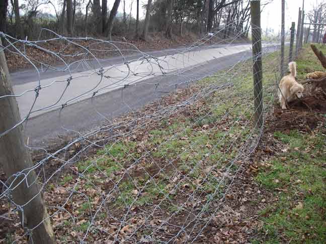 bent fence