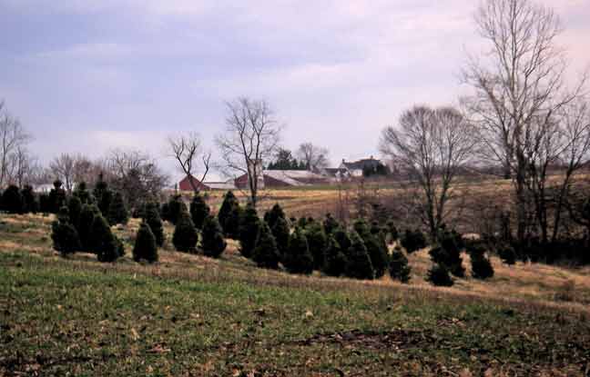 view of house