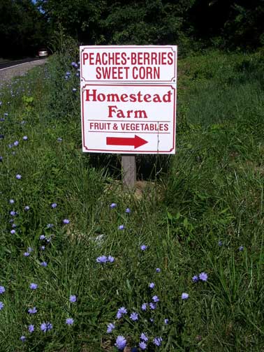 Homestead Sign