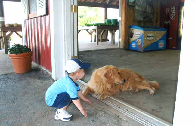 Tess and little boy