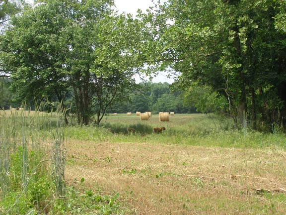 View of the valley