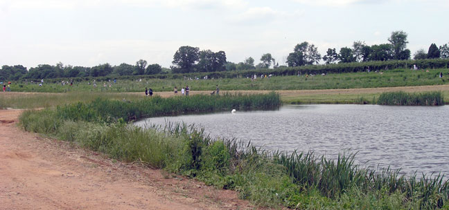 strawberry pickers