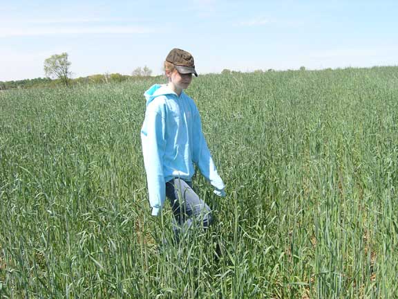 Ground crop