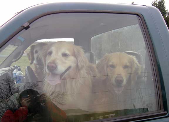 Girls in truck