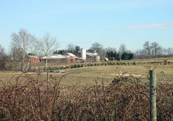 farm from the back