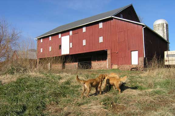 Old barn