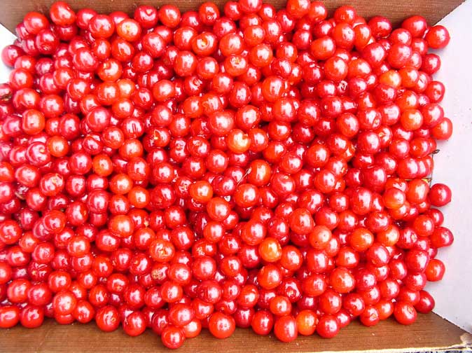 flat of cherries
