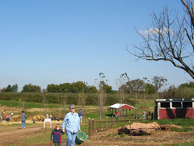 farm orchard