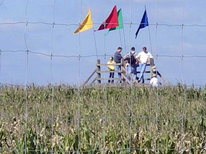 cornmaze