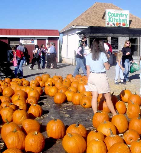 pumpkins