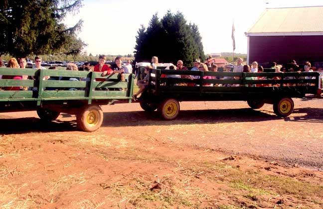 hayride!