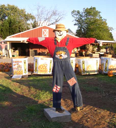 scarecrow