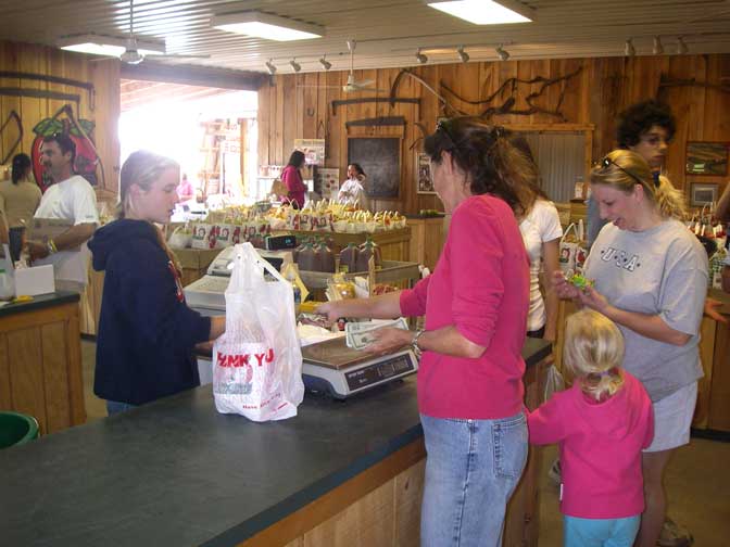 inside the stand