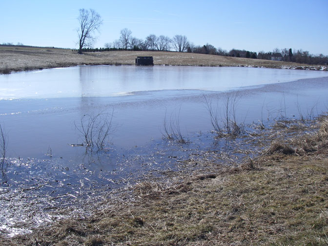 Ice on the 2nd pond.