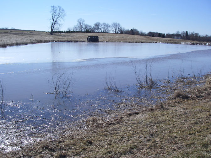 Ice on the 2nd pond.