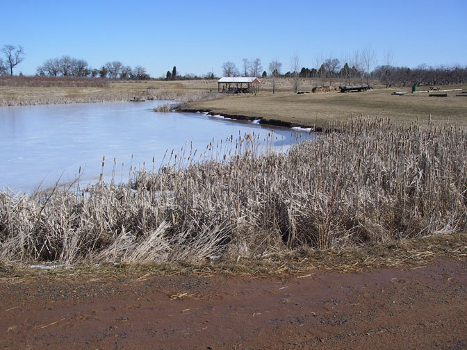 Ice on the 1st pond.