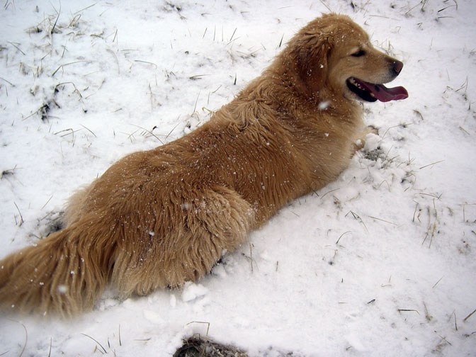 Tess cools off