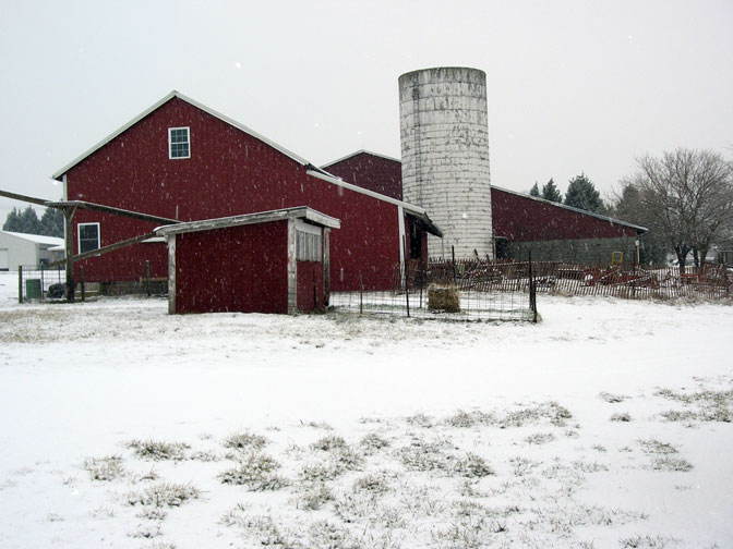 back barns