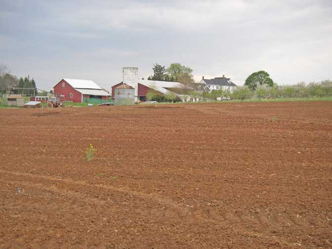 Back of farm