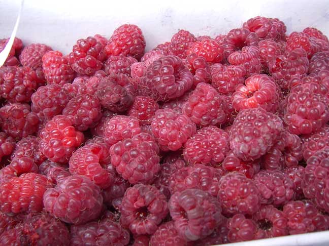 raspberries