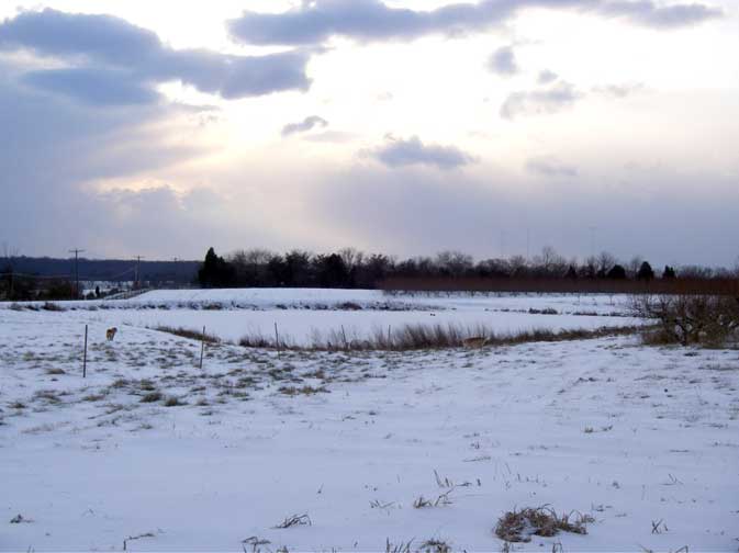 frozen pond