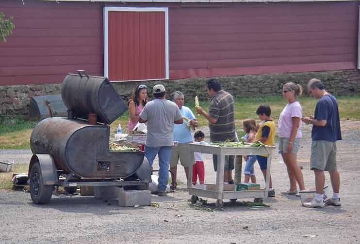 Hill cooks corn