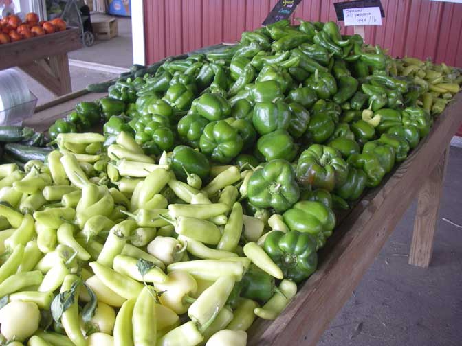 A large variety of peppers.