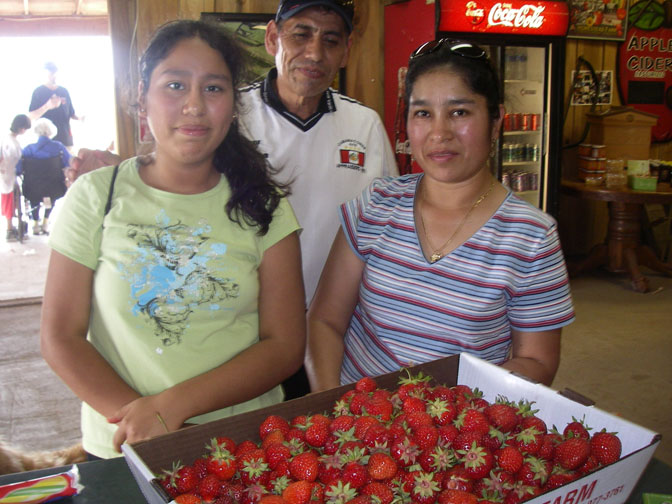 last of the strawberries