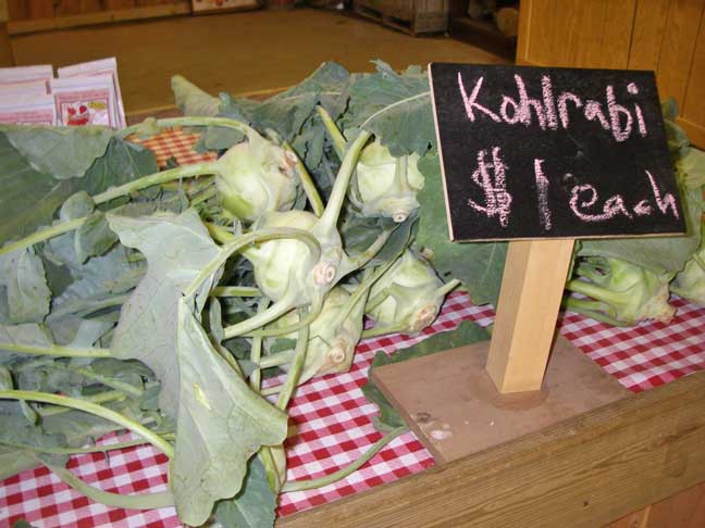 kohlrabi