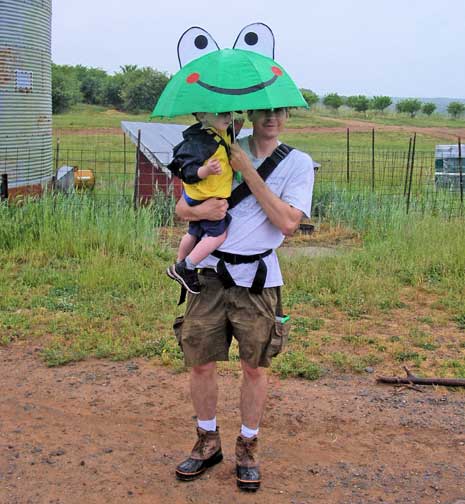 frog umbrella