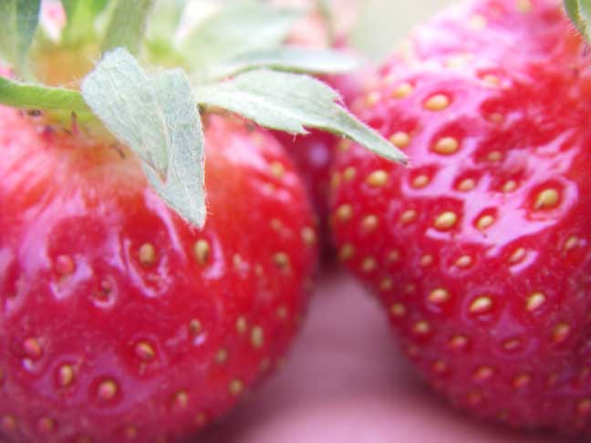 strawberry