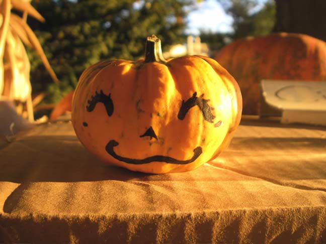 pumpkin face 1