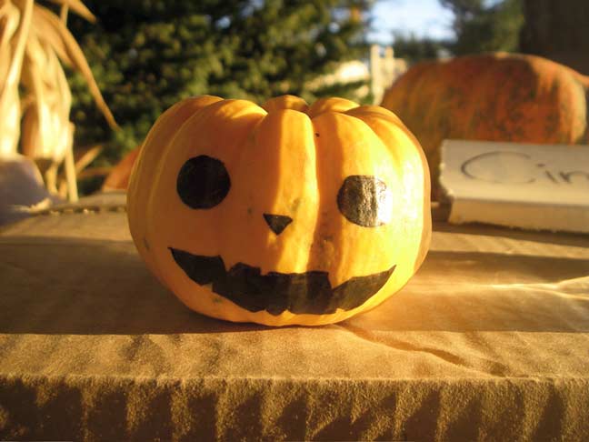 pumpkin face 3