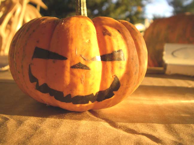 pumpkin face 4