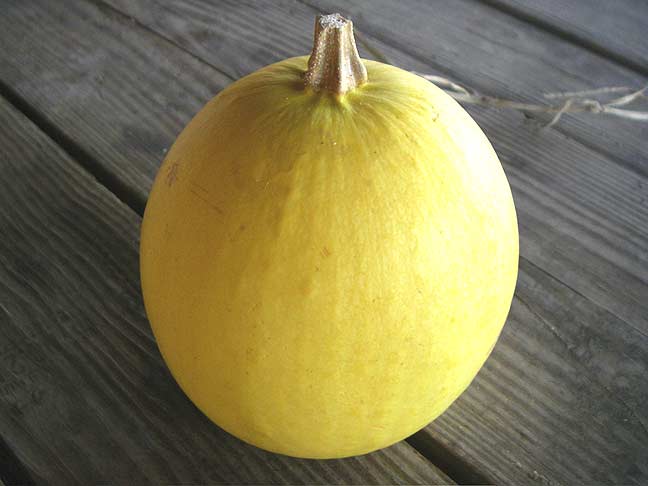 Spaghetti Squash