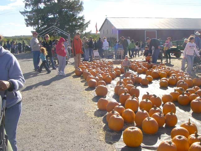 pumpkin hunters