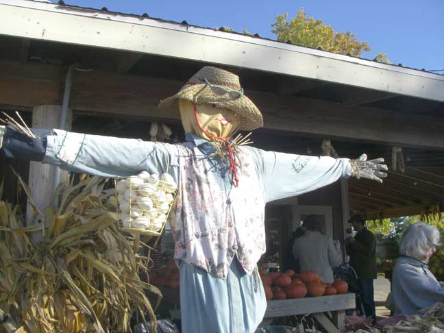 Scarecrow