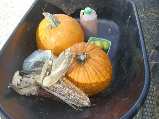 full wheelbarrow