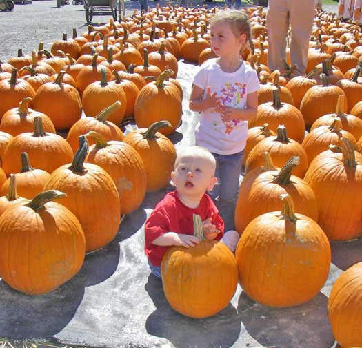 kids and pumpkins