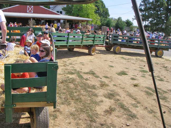 hayride