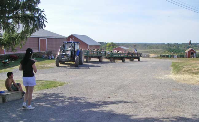 hayride