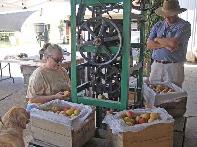 apple peeler