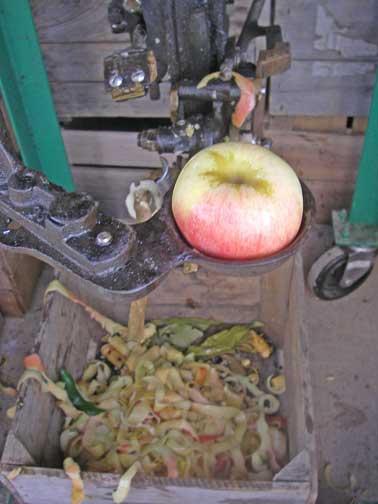 apple peeler