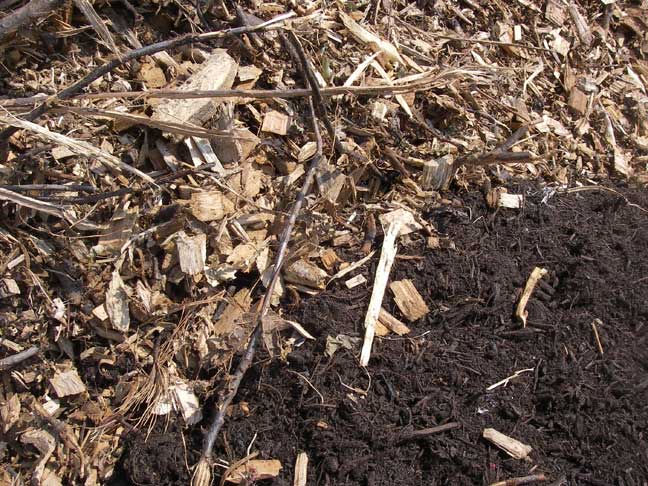 close up of mulches